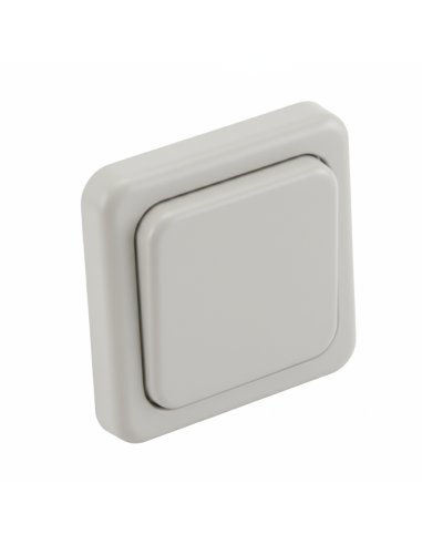 Interruptor de pared Gris Claro